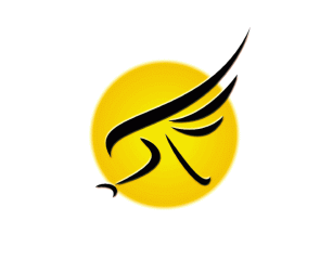 Falcon Associates